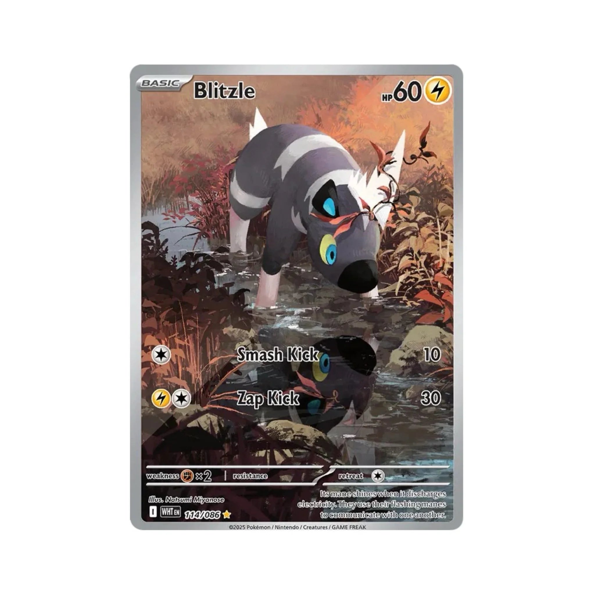 will pokemon cards appreciate in value Sports Cards vs Pokmon Cards: Which Is the Better Investment?