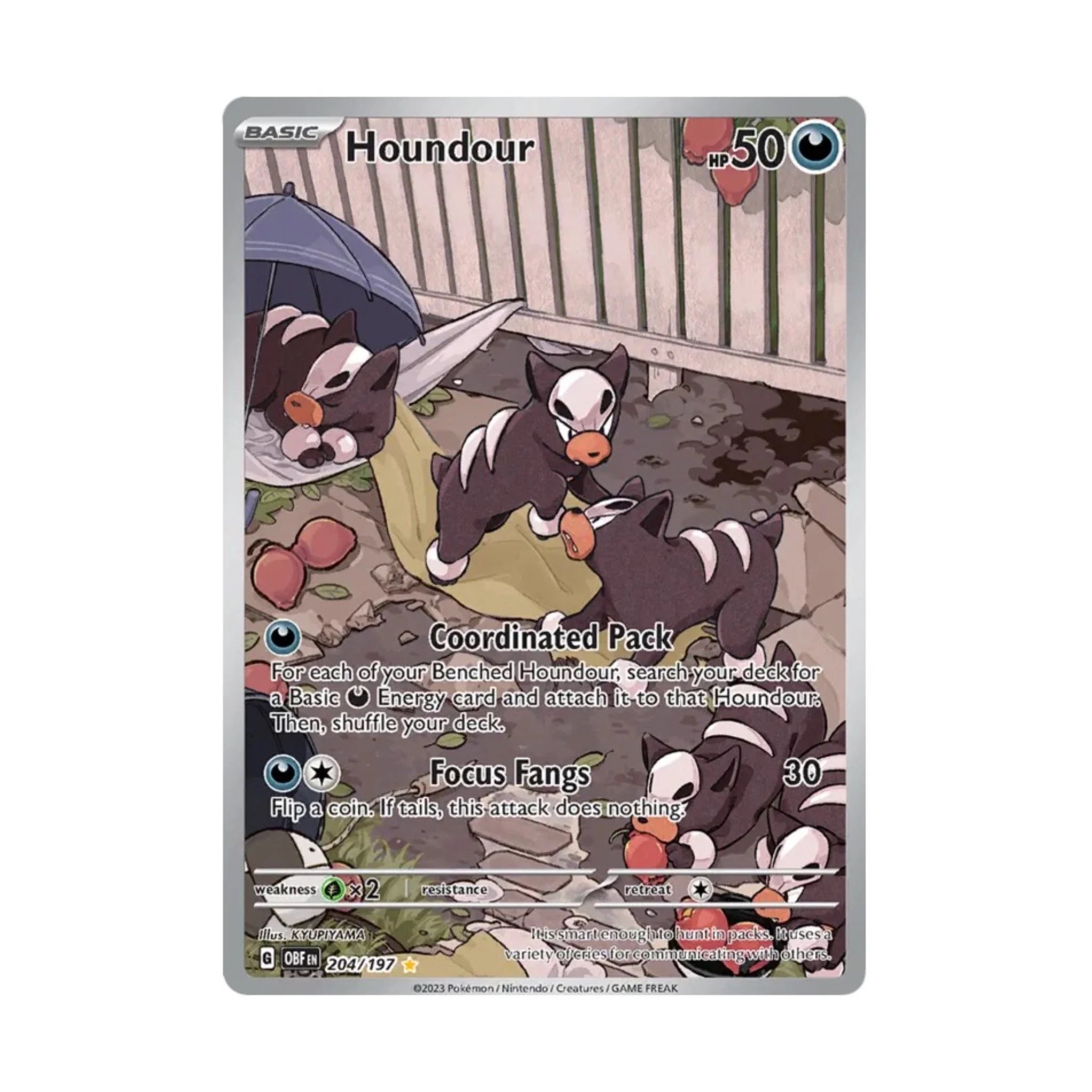 Houndour 204/197