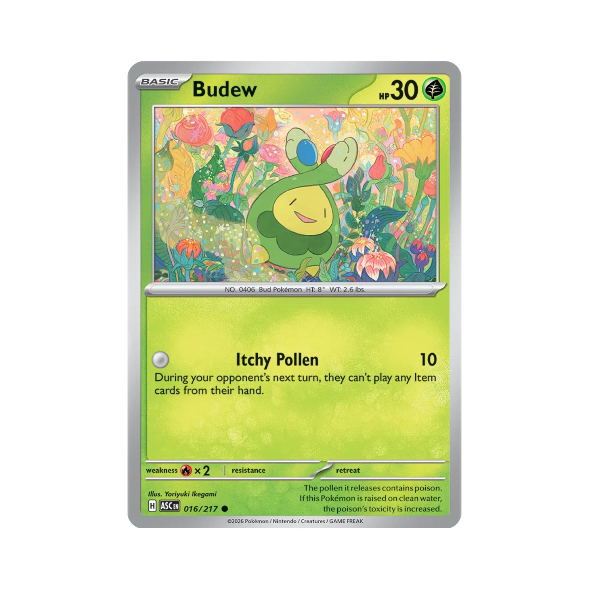 Budew 016/217