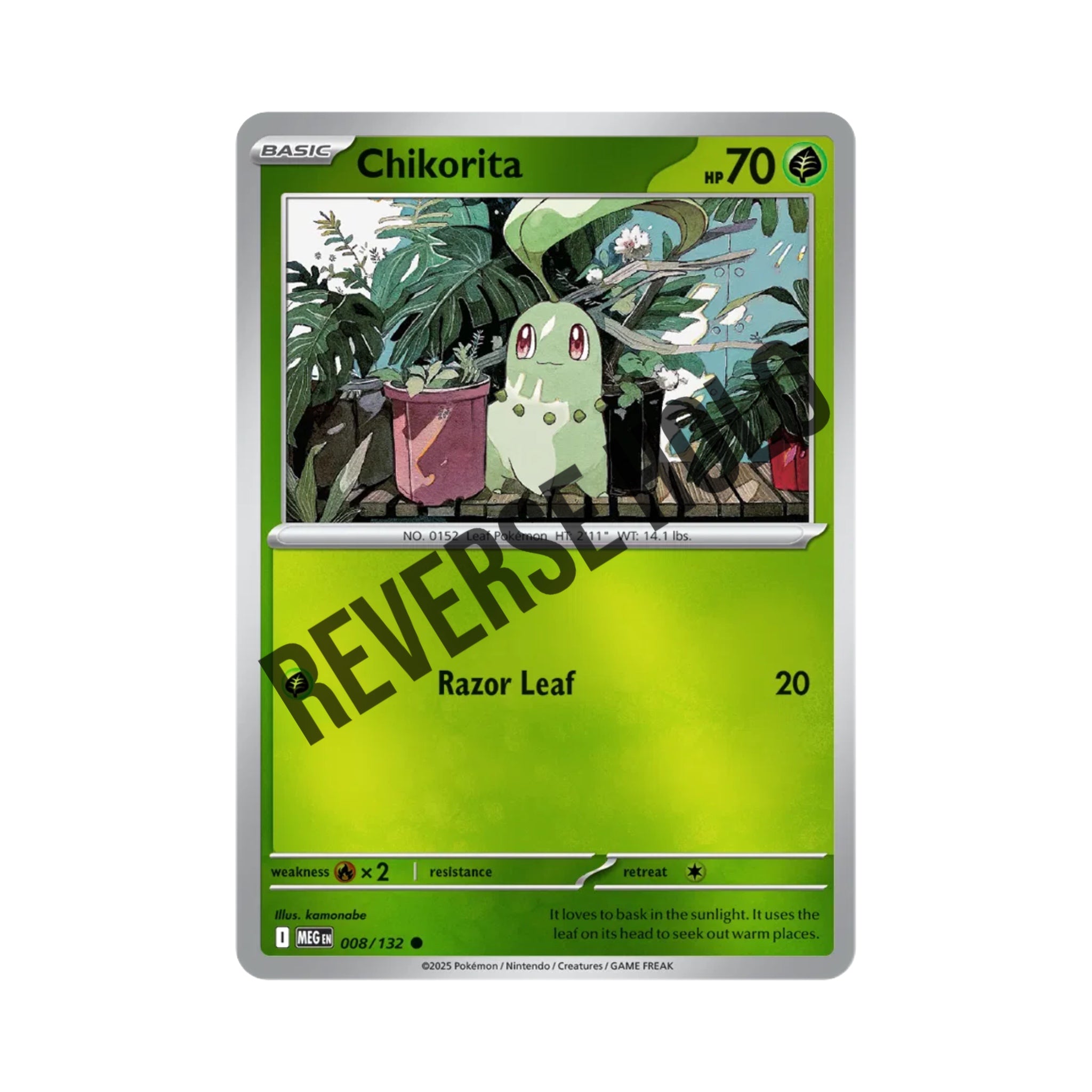 Chikorita (Reverse Holo) 008/132