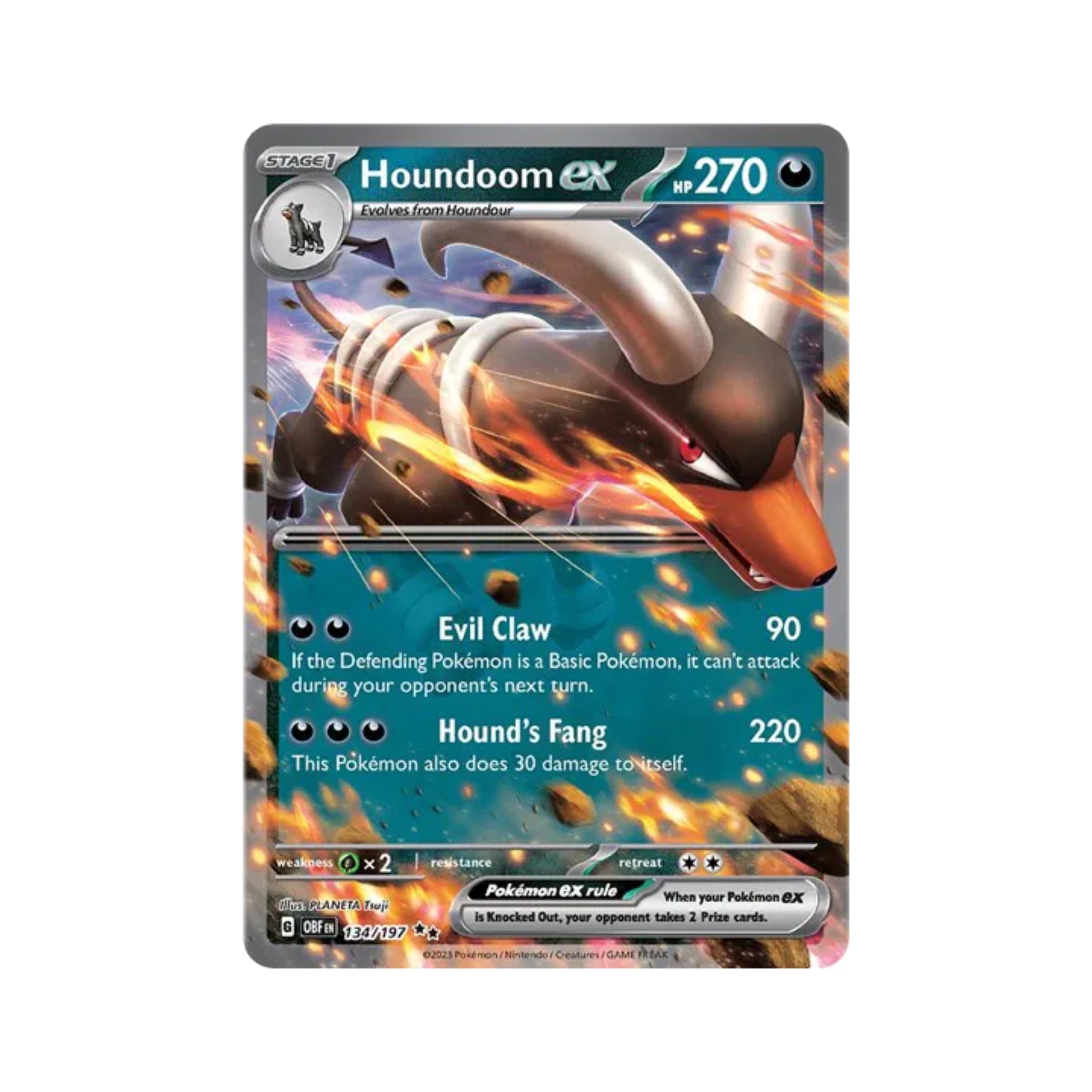 Houndoom ex 134/197