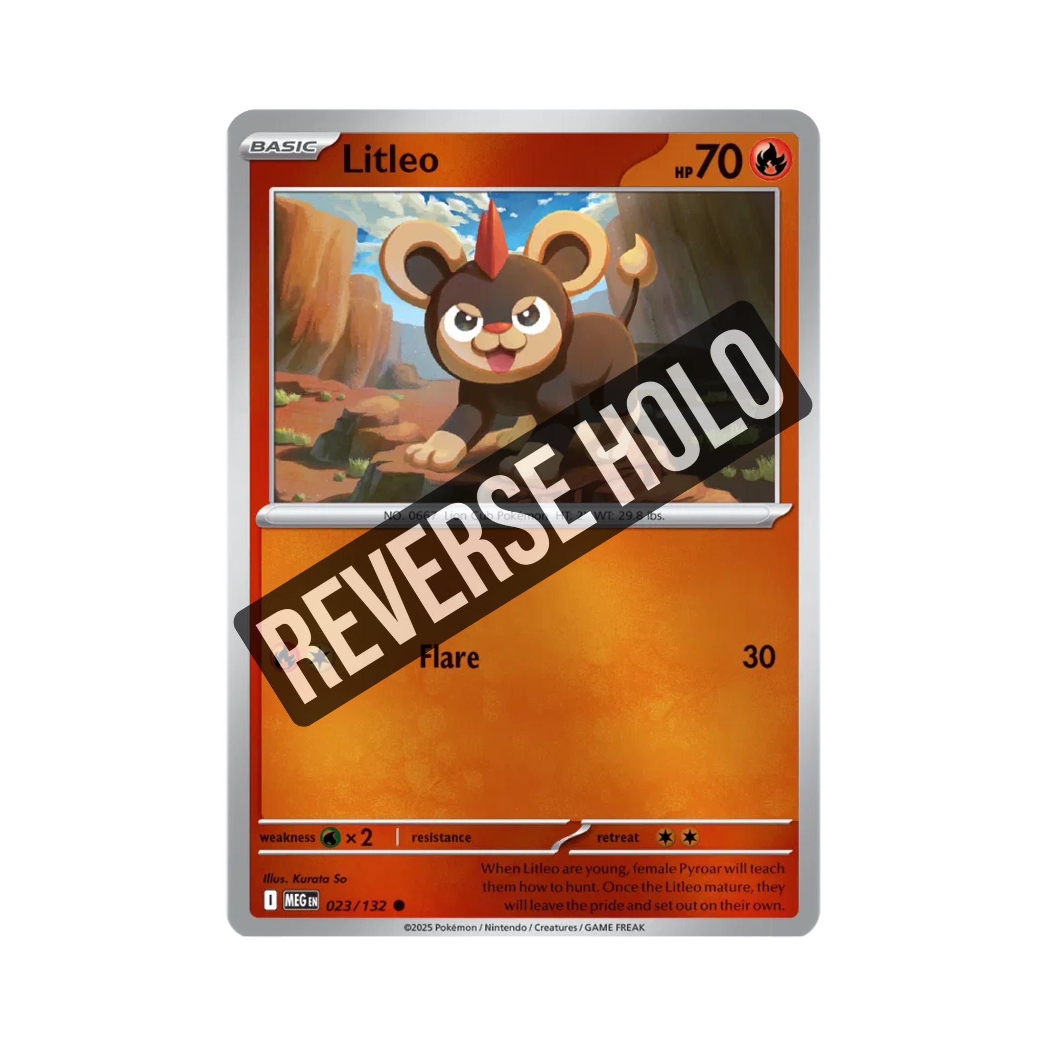 Litleo (Reverse Holo) 023/132