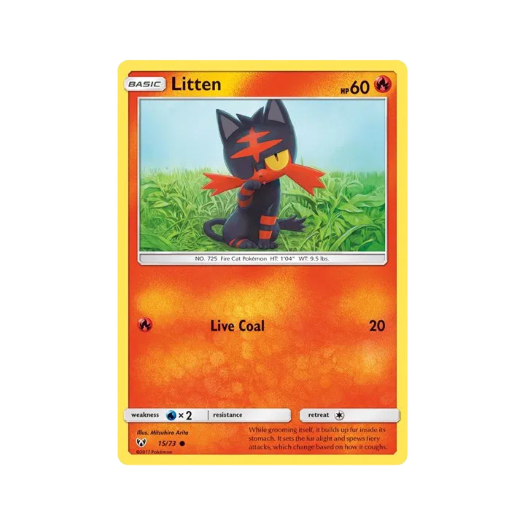 Litten 15
