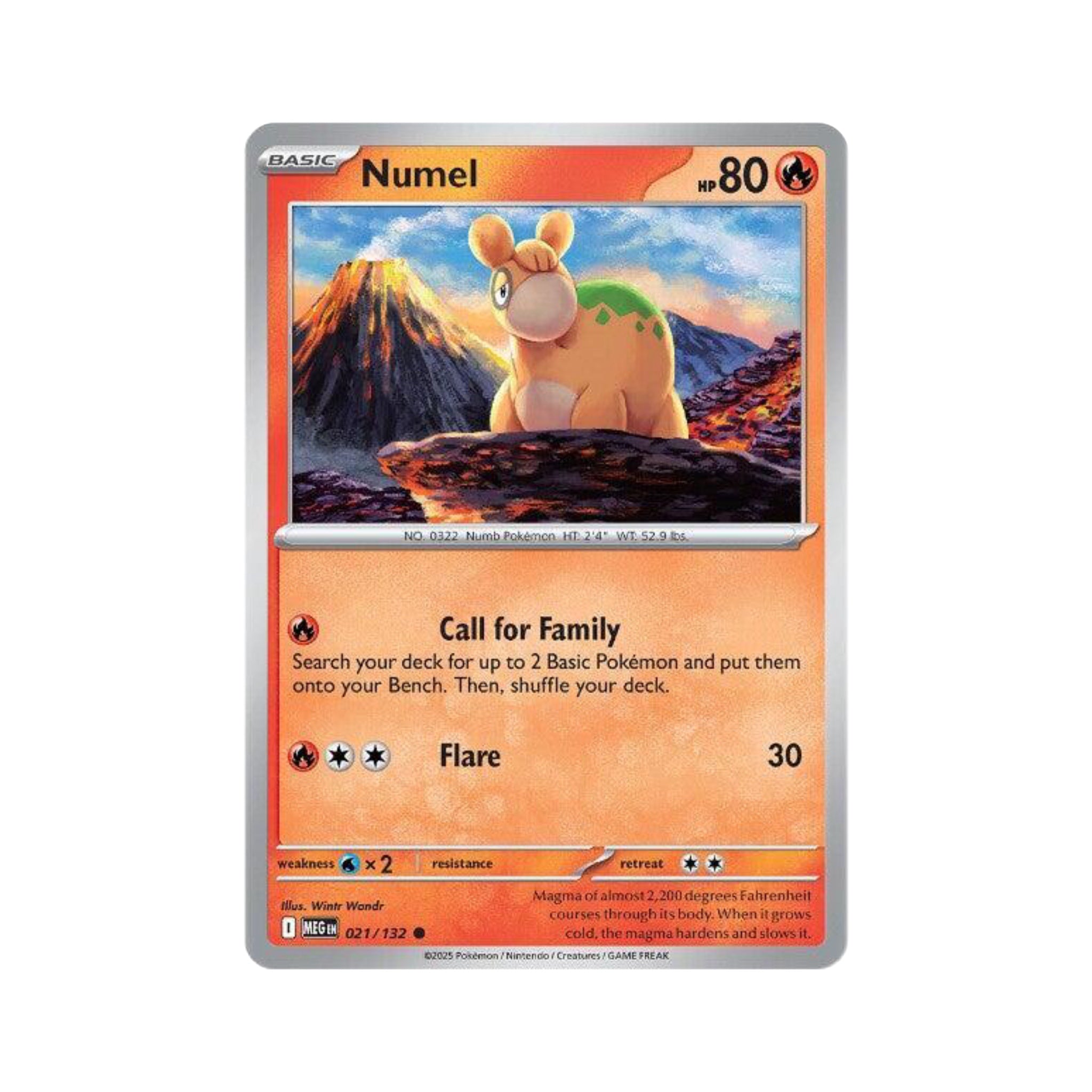 Numel 021/132