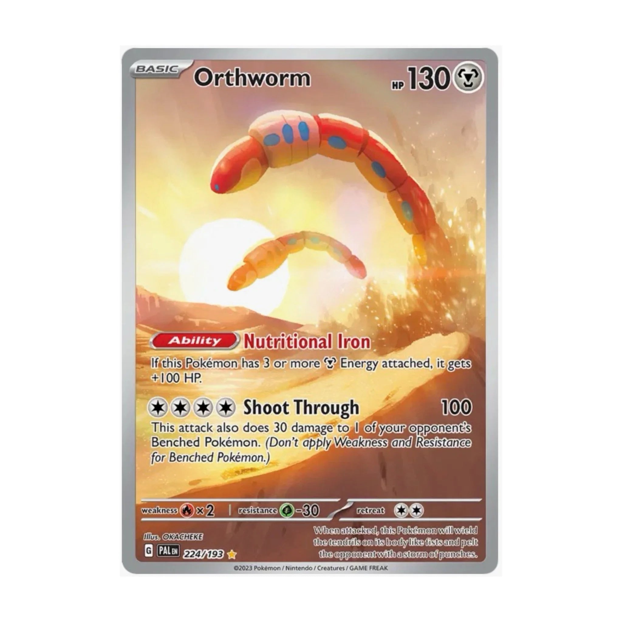 Orthworm 224/193