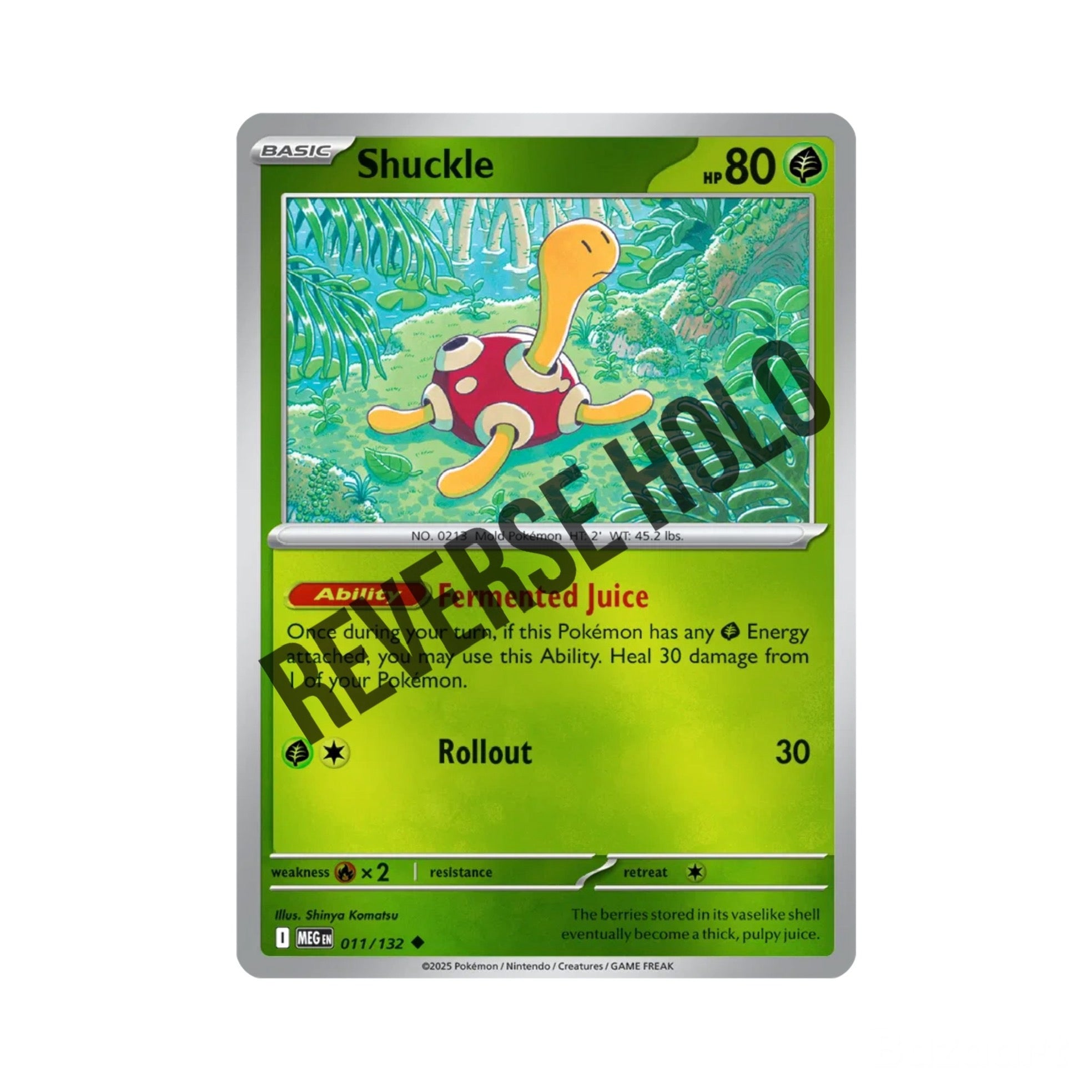 Shuckle (Reverse Holo) 011/132