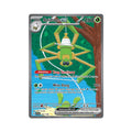 Spidops ex 243/198