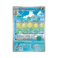 Sunflora 169/167