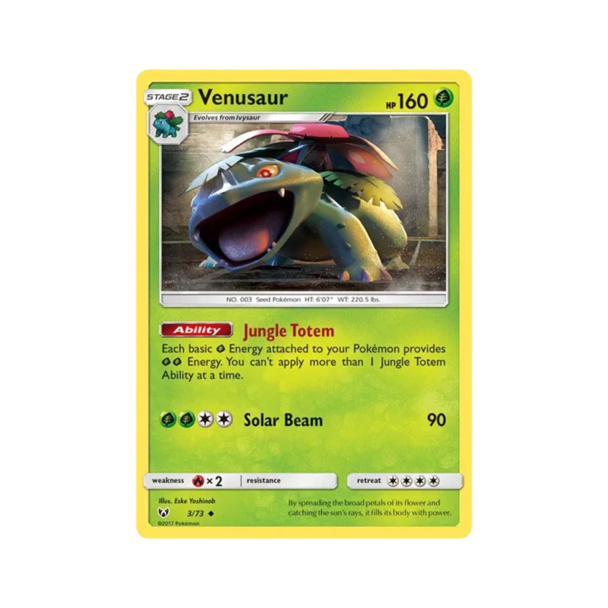 Venusaur 3